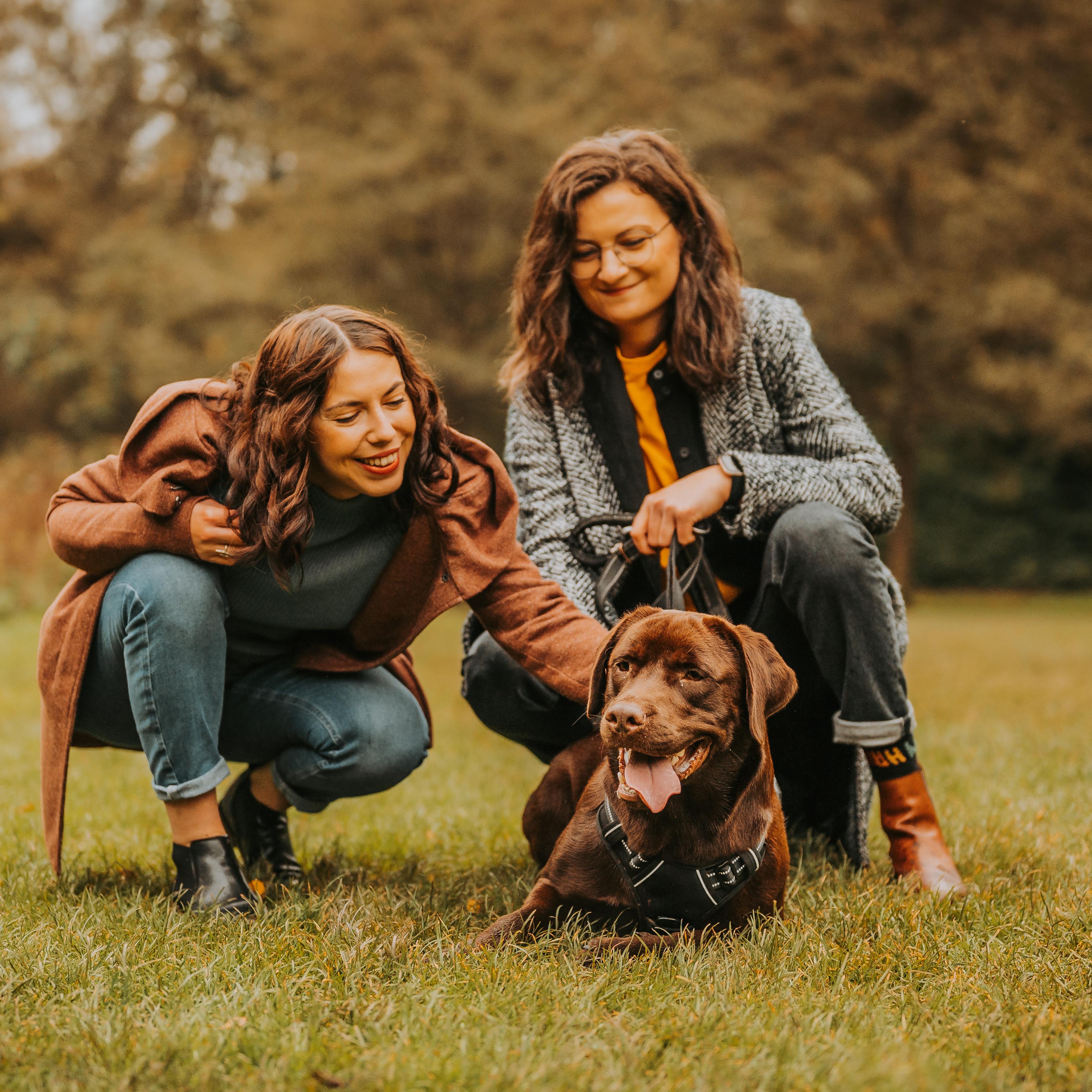 How Much Do Dog Walkers Make An Hour